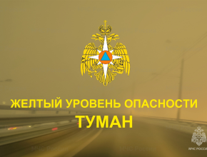 Вторник в тумане