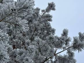 6 января в Тольятти ожидается -7 градусов