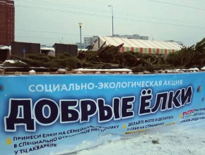 После праздников - в переработку! В Тольятти завершилась акция «Добрые елки», организаторами которой выступили ГК «ЭкоВоз» и ТЦ «Акварель»