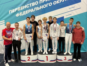 Тольяттинские гимнасты успешно выступили на первенстве ПФО