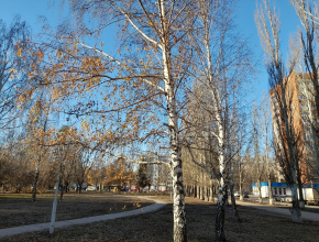 День шестого ноября. Во власти атлантических циклонов!