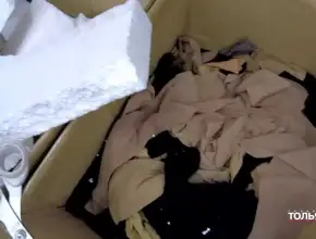   Срочный сбор: волонтеры Тольятти в поисках материалов для плетения маскировочных сетей на СВО 