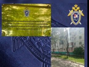 Разбился насмерть. Следственный комитет организовал проверку по факту падения мужчины с крыши дома в Тольятти