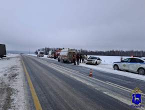 Полицейские работают на месте ДТП, где погибли два человека