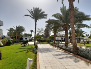 Трагедия в Египте: смерть россиянки превратилась в долговую ловушку