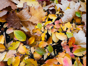 Просыпаемся и заряжаемся на новый день! Начинаем утро с прогноза погоды