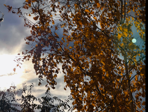 Доброе праздничное утро! 4 ноября в нашей стране отмечается День Народного Единства, начнём этот день с прогноза погоды