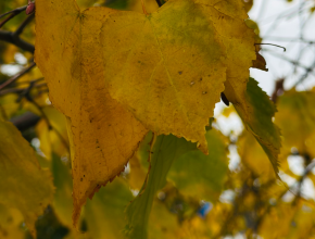 Доброе воскресное утро! Желаем хорошего дня, и делимся прогнозом на сегодня! 