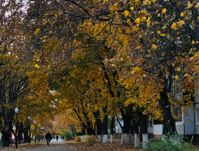 Доброе утро, любимый город! Краткий прогноз погоды на сегодня, 11 ноября 
