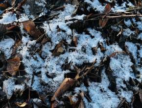 Новая неделя - новые достижения! Доброе утро, Тольятти! Расскажем о погоде на сегодня