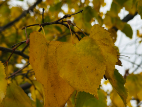Среда - экватор недели! Начинаем день с прогноза погоды