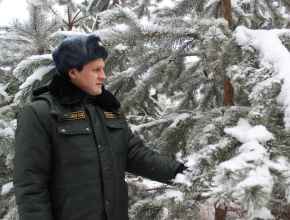 Операция «Ель». В Самарской области усилена охрана лесного фонда