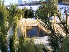 Вячеслав Федорищев напомнил о важности соблюдения правил безопасности во время Крещенских купаний в проруби