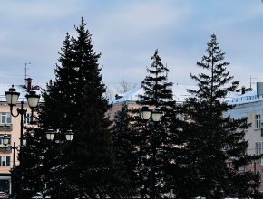 Тольятти, 25 января: морозно, солнечно, без осадков. Коротко о погоде на сегодня!