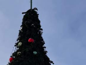 А погода сегодня чудесная для прогулок! Но утеплиться всё равно стоит