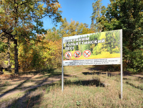 Высокая пожарная опасность! С 26 сентября по 1 октября в Самарской области введен запрет на посещение лесов