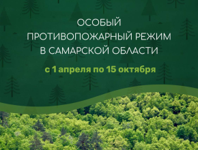 С 25 марта в регионе открыт пожароопасный сезон. Что это означает?