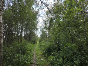 Лето кончилось, пожароопасный период нет