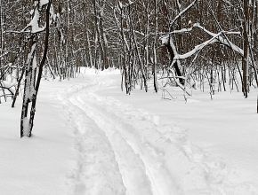 Лыжня зовёт! В воскресенье в Тольятти – профсоюзный лыжный кросс