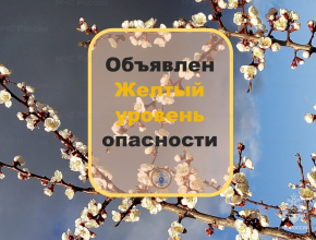 Объявлен желтый уровень опасности! 16 апреля в Самарской области сохранится сильный ветер