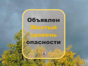 Объявлен желтый уровень опасности! Днем 9 мая в Самарской области ожидается усиление ветра