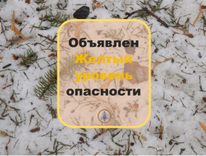 Осенний холод и ночные заморозки. В ближайшие несколько дней ожидается температура ниже нуля