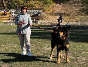А вы знаете такую породу - монгол банхар? В Тольятти впервые прошла необычная выставка собак