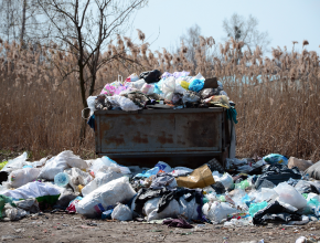 Объясняем.РФ: можно ли получить перерасчёт за вывоз бытовых отходов?