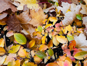Просыпаемся и заряжаемся на новый день! Начинаем утро с прогноза погоды