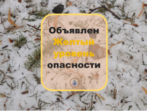 Жёлтый уровень опасности! Экстренные службы предупреждают о предстоящих ночных заморозках