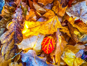 Погода даёт передышку от дождливых дней