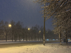 Не зимние выходные: мокрый снег и туман в регионе