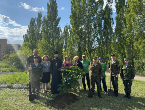 Новая Аллея Победы продолжает зелёную летопись Тольятти