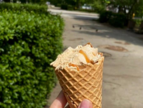 Спасайся кто может! Или как выжить, когда за окном под +35°C