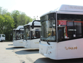 С 25 по 29 августа изменится схема движения ряда автобусов и троллейбусов