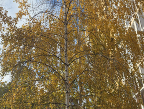 Ещё чуть-чуть. Экватор рабочей недели прошёл, а значит наступил четверг