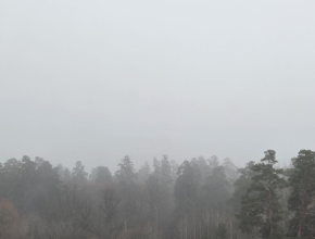 Завтра снова город погрузится в молоко