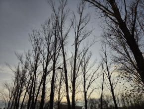 После ночного дождя воскресный день обещает солнце