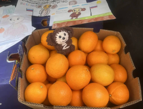 60 килограммов апельсинов, множество писем и Чебурашек доставлены раненым бойцам в госпитали Санкт-Петербурга