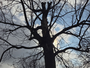 А какую погоду принесёт нам субботнее утро?