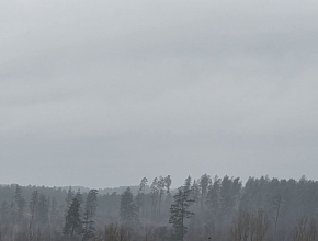 Когда осень туманная, тогда зима снежная
