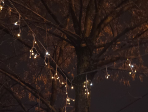 Первая неделя зимы закончится плюсовой температурой