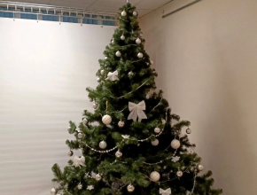 Рассказываем простые правила установки ёлки, чтобы безопасно отметить Новый год