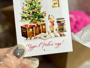 Сколько денег россиянам отложить к Новому году?