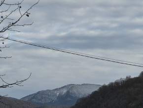 В Самарской области объявлен желтый уровень опасности из-за сильного ветра