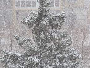 Снежная сказка ждёт Тольятти сегодня