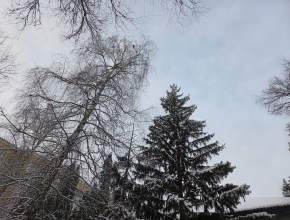 Южный ветер принесёт чуть больше тепла, но сохранится риск поскользнуться