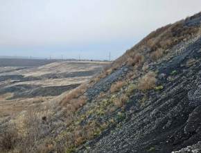 «Генеральная уборка» добралась до Сызрани