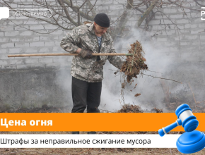 Как сжечь мусор на своём дачном участке и не получить штраф? 