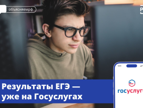 Первые результаты ЕГЭ уже можно посмотреть на портале госуслуг
